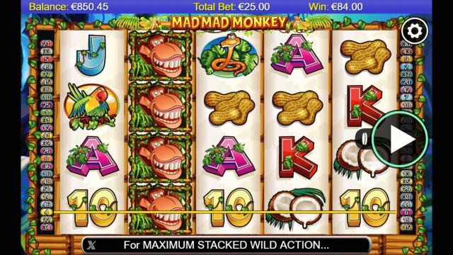 Бонусная игра Mad Mad Monkey 5