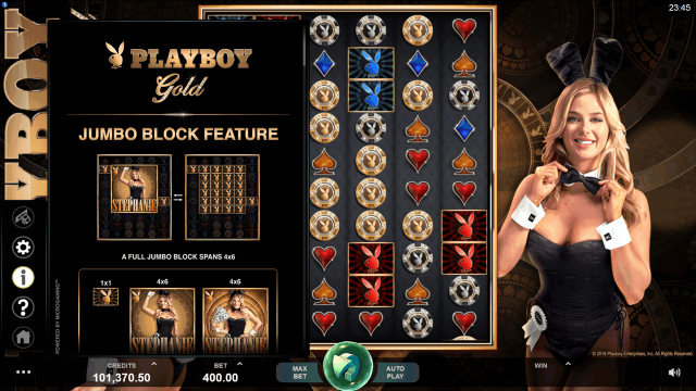 Игровой интерфейс Playboy Gold 8
